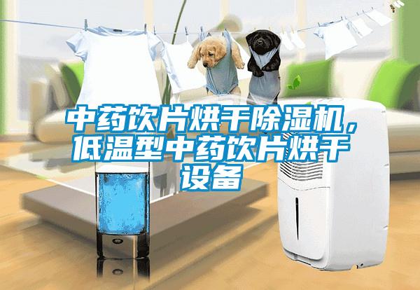 中藥飲片烘干除濕機，低溫型中藥飲片烘干設備