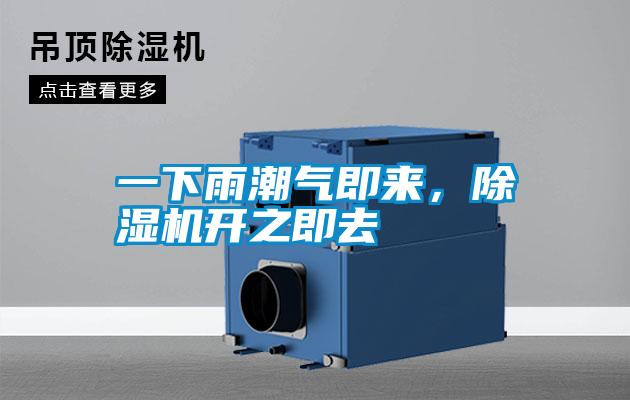一下雨潮氣即來，除濕機開之即去