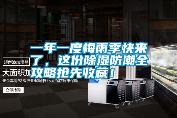 一年一度梅雨季快來了，這份除濕防潮全攻略搶先收藏！