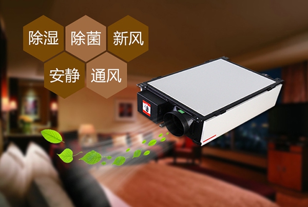 如何預防辦公室裝修后的防潮問題？