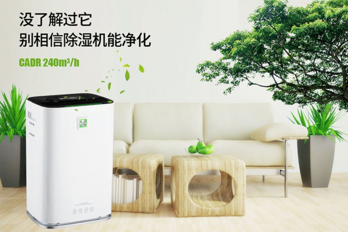 一到回南天狗狗就感冒+皮膚病，怎么辦？