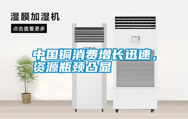 中國(guó)銅消費(fèi)增長(zhǎng)迅速，資源瓶頸凸顯