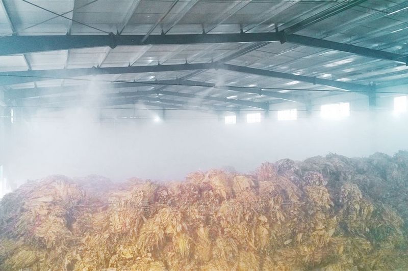 提升煙葉加工質量，高效回潮很重要