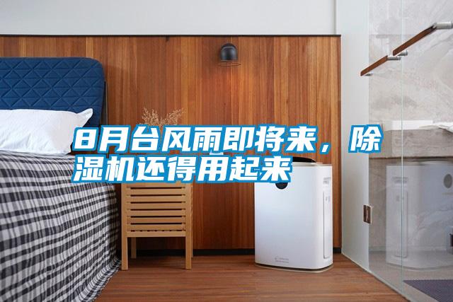 8月臺風雨即將來，除濕機還得用起來