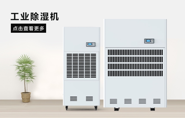 三八節送媽媽的禮物，選這款安詩曼除濕器就對了