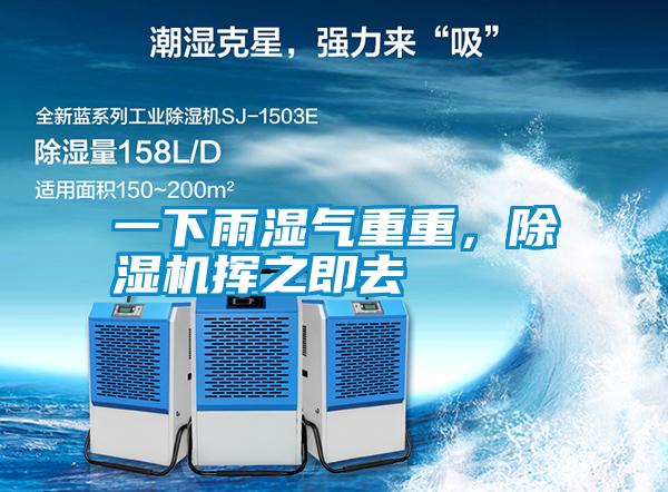 一下雨濕氣重重，除濕機揮之即去
