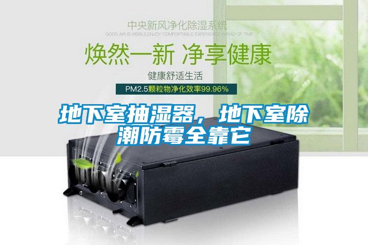 地下室抽濕器，地下室除潮防霉全靠它