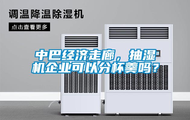 中巴經濟走廊，抽濕機企業可以分杯羹嗎？
