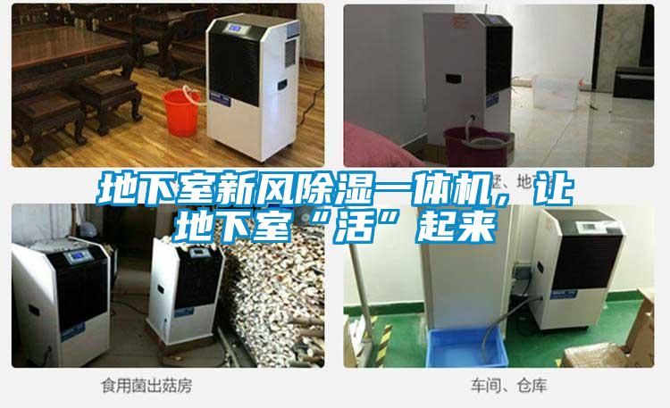地下室新風除濕一體機，讓地下室“活”起來