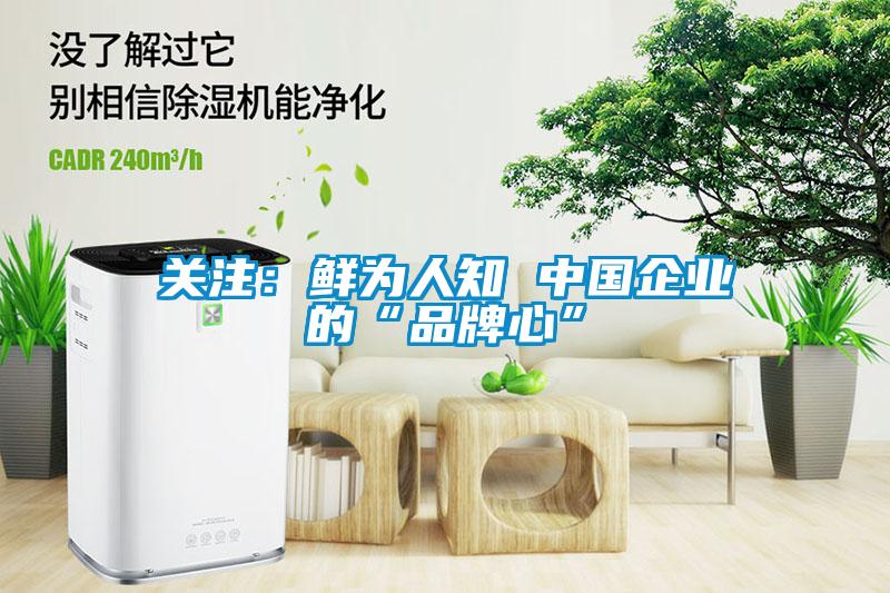 關注：鮮為人知 中國企業(yè)的“品牌心”