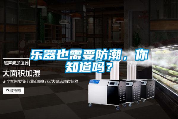 樂(lè)器也需要防潮，你知道嗎？