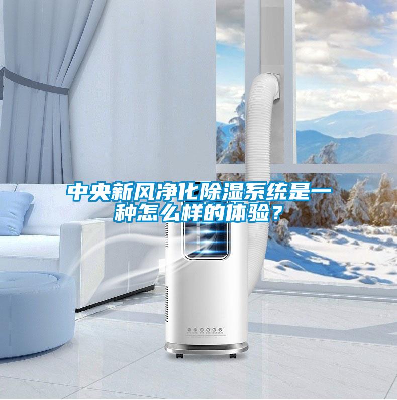 中央新風凈化除濕系統是一種怎么樣的體驗？