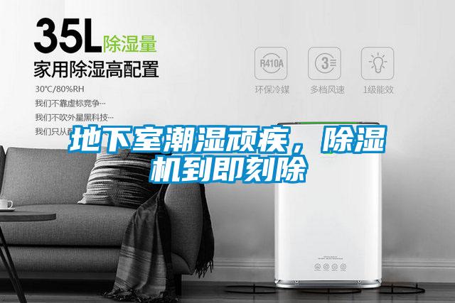 地下室潮濕頑疾，除濕機到即刻除