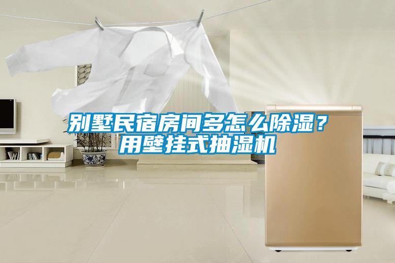 別墅民宿房間多怎么除濕？用壁掛式抽濕機