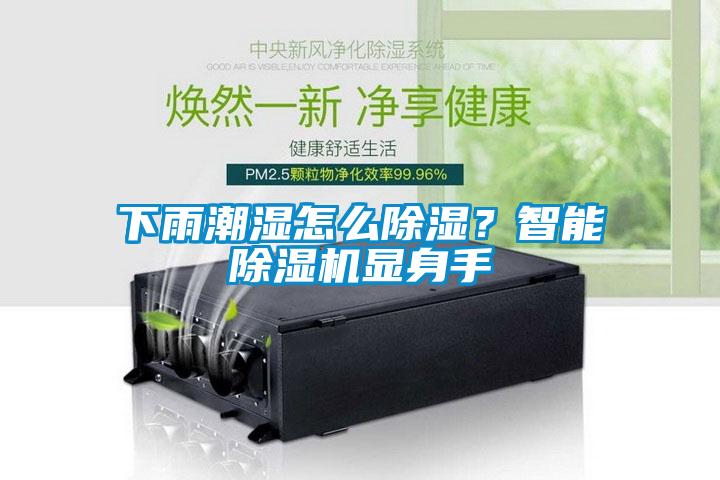 下雨潮濕怎么除濕？智能除濕機顯身手