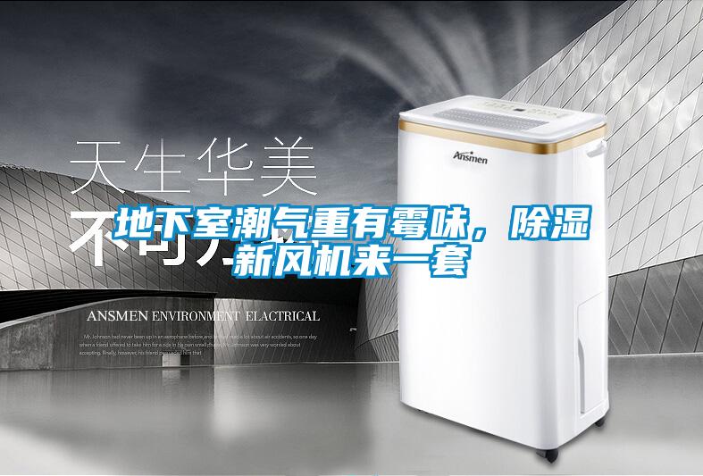 地下室潮氣重有霉味，除濕新風機來一套
