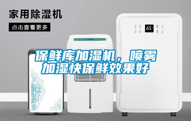 保鮮庫加濕機，噴霧加濕快保鮮效果好