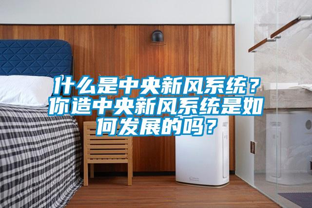 什么是中央新風系統？你造中央新風系統是如何發(fā)展的嗎？