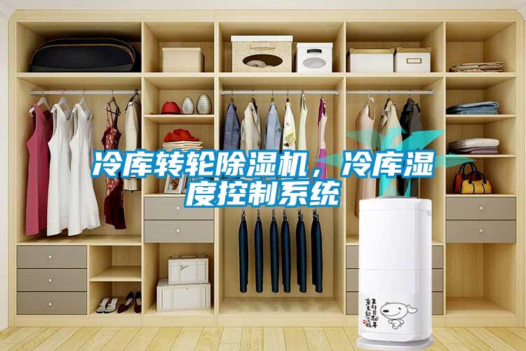 冷庫轉(zhuǎn)輪除濕機(jī)，冷庫濕度控制系統(tǒng)