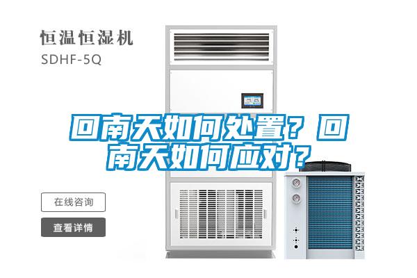 回南天如何處置？回南天如何應對？