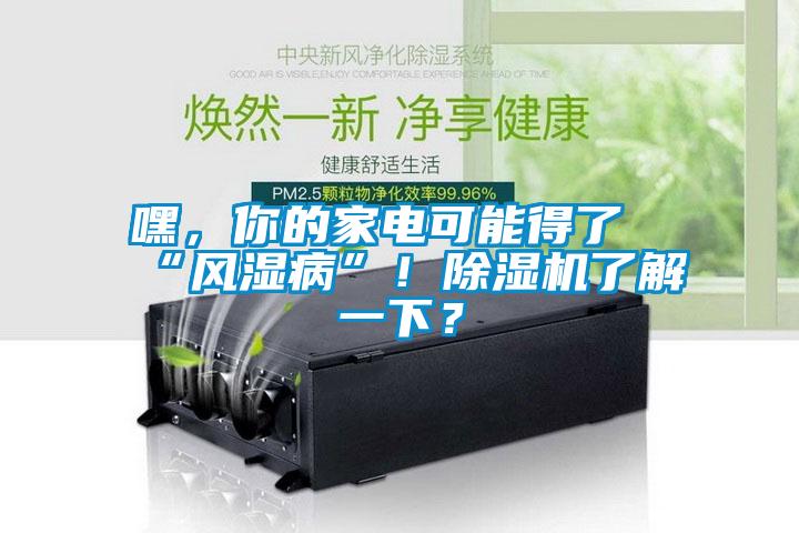 嘿，你的家電可能得了“風濕病”！除濕機了解一下？
