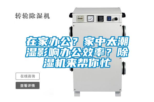 在家辦公？家中太潮濕影響辦公效率？除濕機來幫你忙