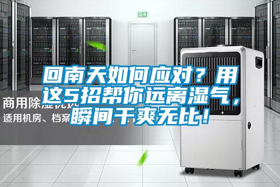 回南天如何應對？用這5招幫你遠離濕氣，瞬間干爽無比！