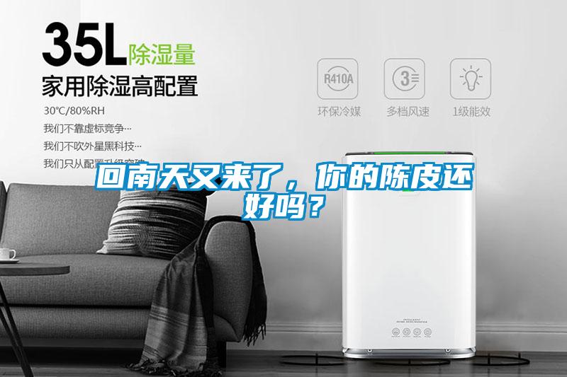 回南天又來了，你的陳皮還好嗎？