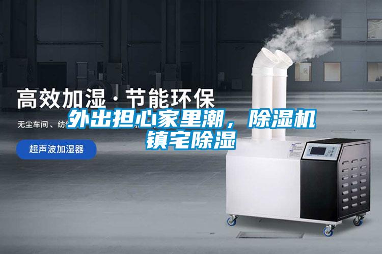 外出擔心家里潮，除濕機鎮宅除濕