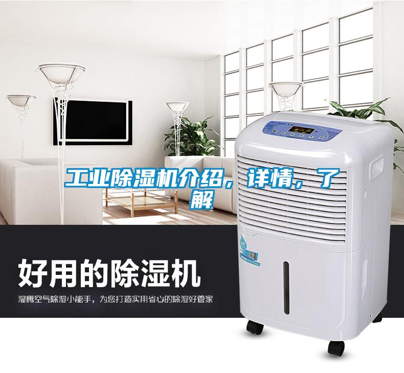 工業除濕機介紹，詳情，了解
