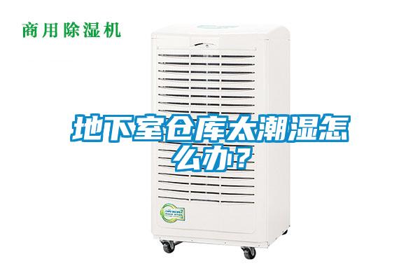 地下室倉(cāng)庫(kù)太潮濕怎么辦？