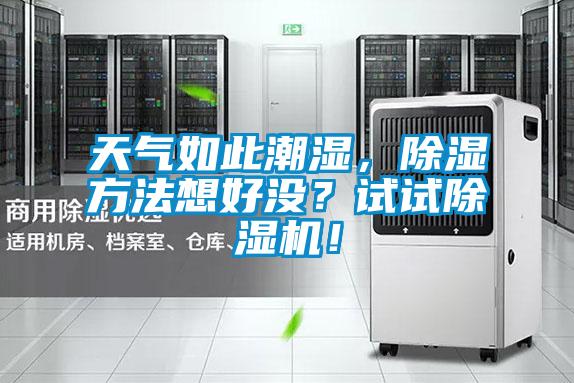 天氣如此潮濕，除濕方法想好沒？試試除濕機！