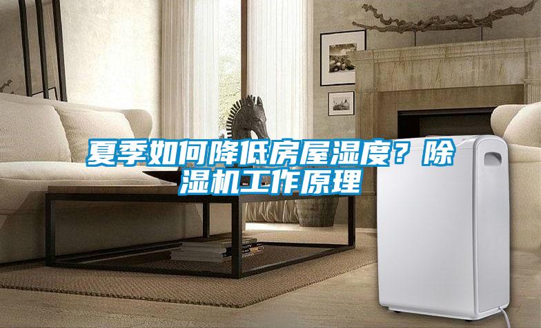 夏季如何降低房屋濕度？除濕機工作原理
