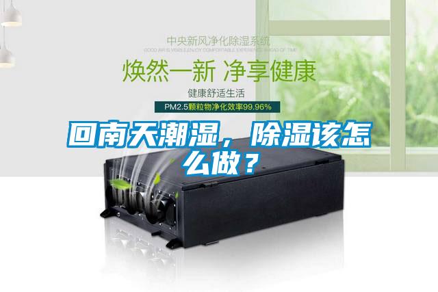 回南天潮濕，除濕該怎么做？