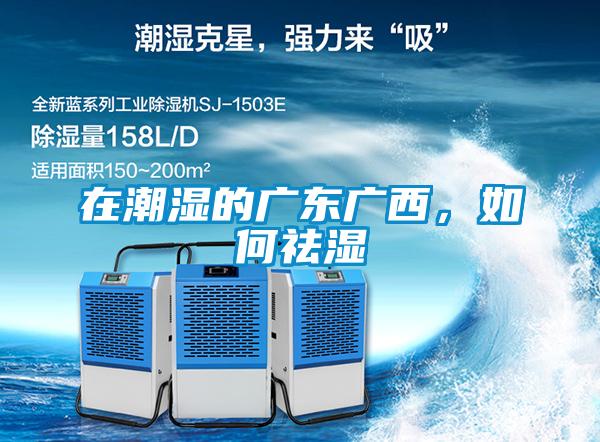 在潮濕的廣東廣西，如何祛濕