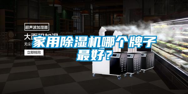 家用除濕機哪個牌子最好？