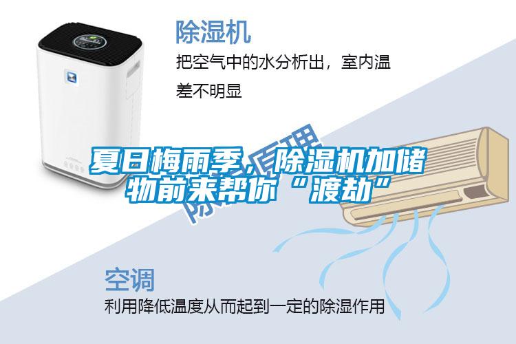 夏日梅雨季，除濕機加儲物前來幫你“渡劫”