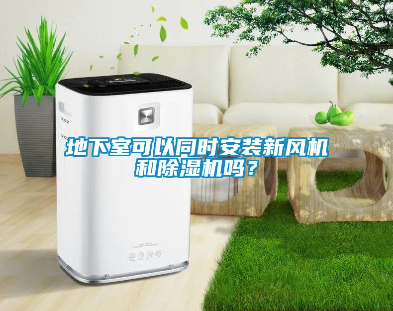 地下室可以同時安裝新風機和除濕機嗎？