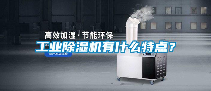 工業(yè)除濕機(jī)有什么特點(diǎn)？