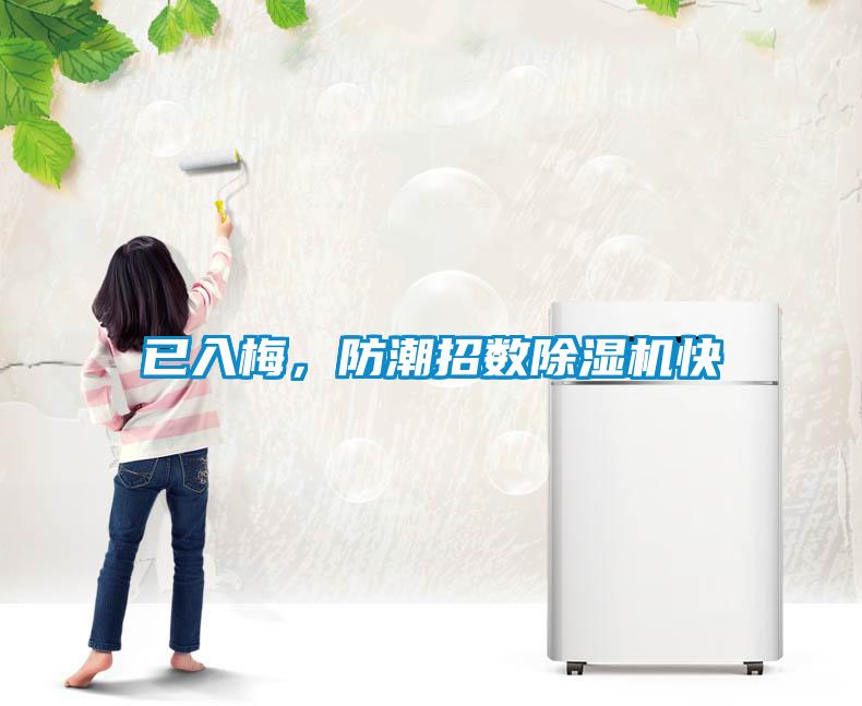 已入梅，防潮招數除濕機快