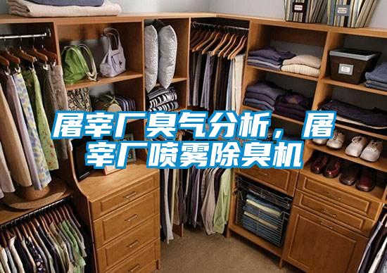 屠宰廠臭氣分析，屠宰廠噴霧除臭機