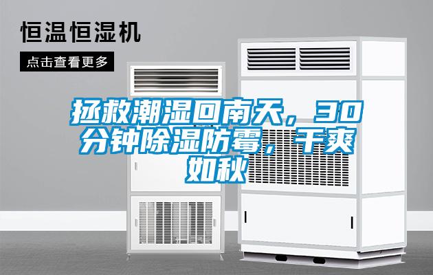 拯救潮濕回南天，30分鐘除濕防霉，干爽如秋