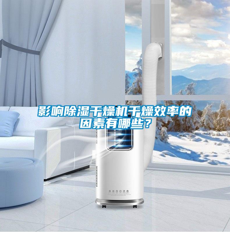 影響除濕干燥機干燥效率的因素有哪些？