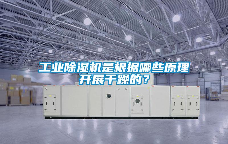 工業(yè)除濕機(jī)是根據(jù)哪些原理開展干躁的？