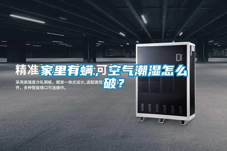 家里有螨,空氣潮濕怎么破?