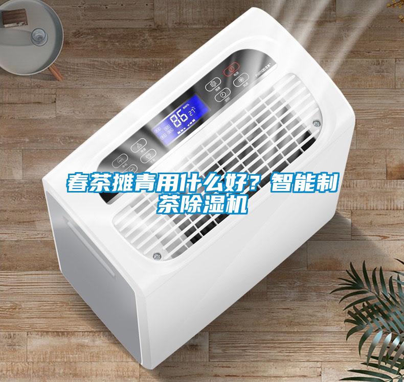 春茶攤青用什么好？智能制茶除濕機(jī)