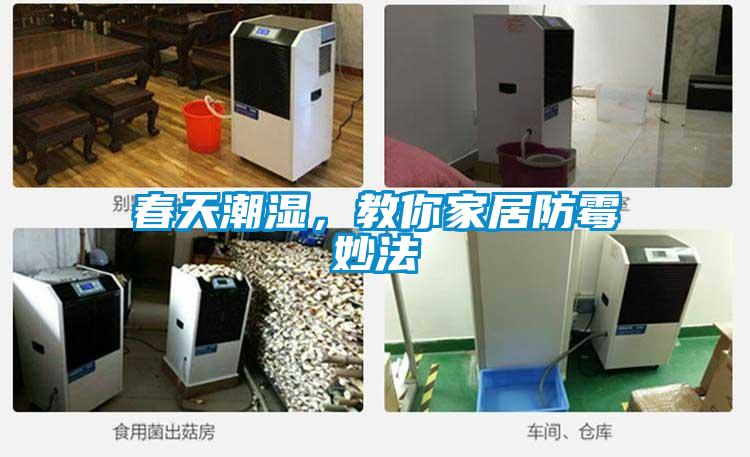 春天潮濕，教你家居防霉妙法