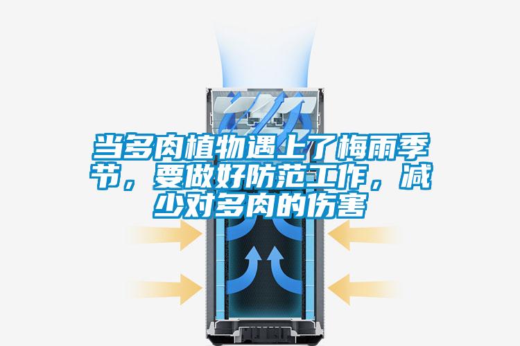 當多肉植物遇上了梅雨季節，要做好防范工作，減少對多肉的傷害