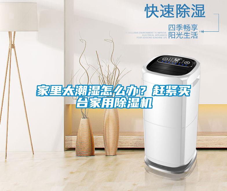 家里太潮濕怎么辦？趕緊買臺家用除濕機