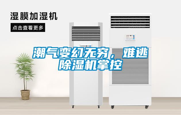 巧用車間除濕機，解決食品廠車間蒸汽問題